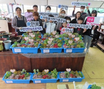 가족봉사단과 함께하는 홈가드닝 자원봉사활동 이미지