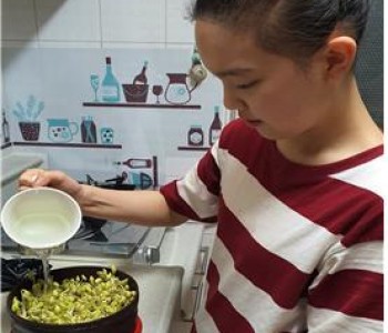 [콩나물 기르기 사업] 이미지