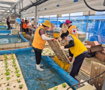 집중호우 피해 수해복구 봉사(7.21) 이미지