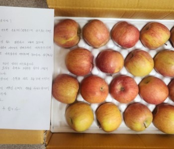 청송에서 도착한 감동적인 편지 이미지