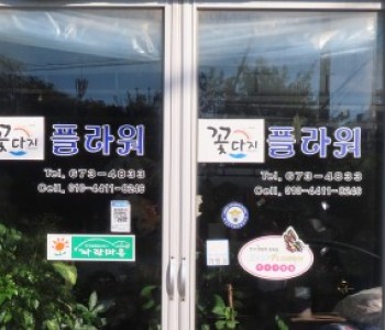 꽃다지플라워 이미지