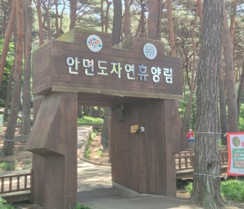 안면도 자연휴양림 이미지